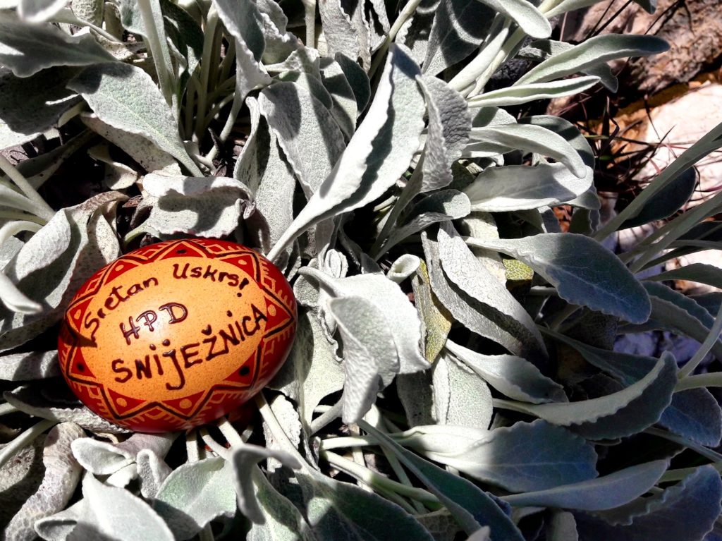 58379677_2244472205643988_2384346756457431040_o