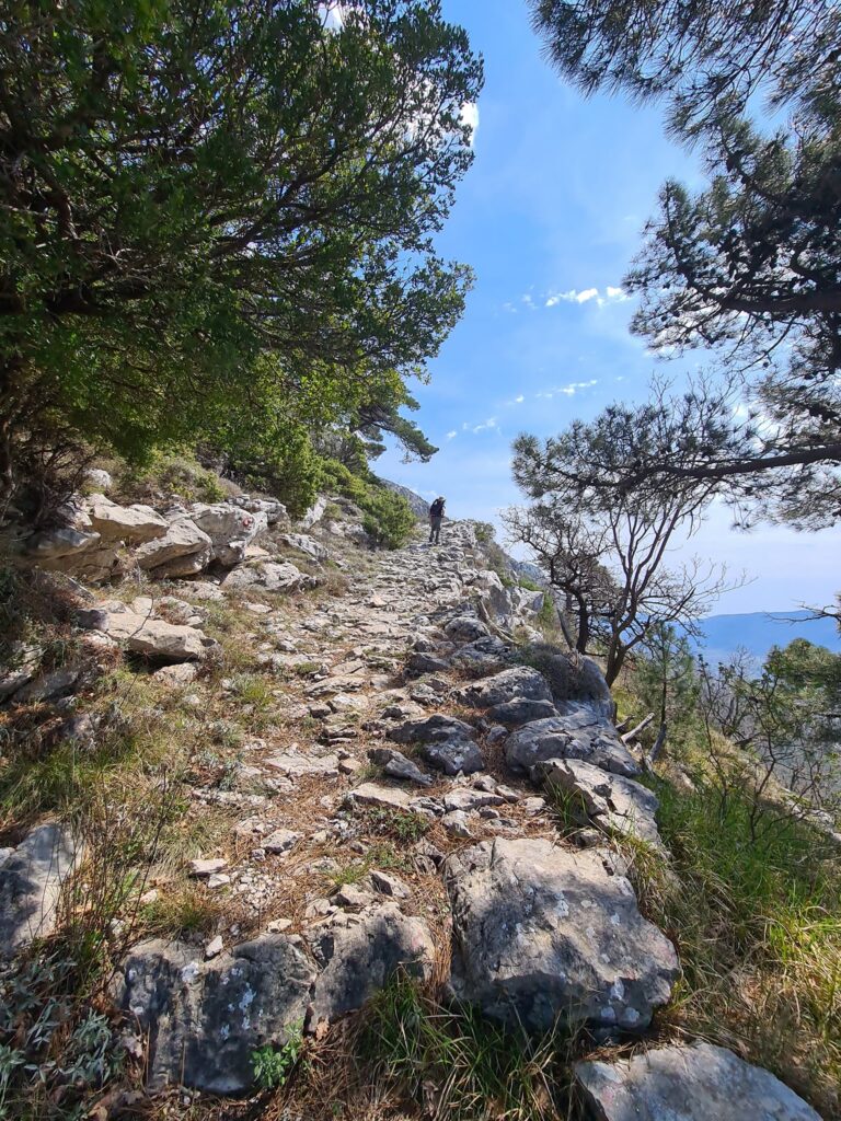 278587544_5071676519590195_7673286920729076457_n