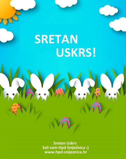 Easter egg hunt announcing poster with white paper cut bunny rabbits in spring lawn grass, hidden colored eggs, party flyer, banner or invitation template layout. Vector illustration. Place for text