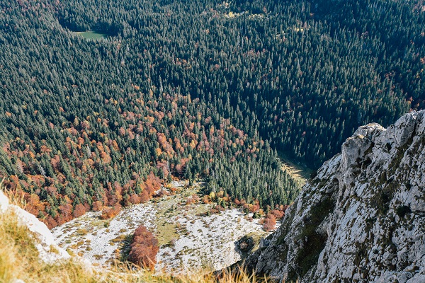 DSC_4619